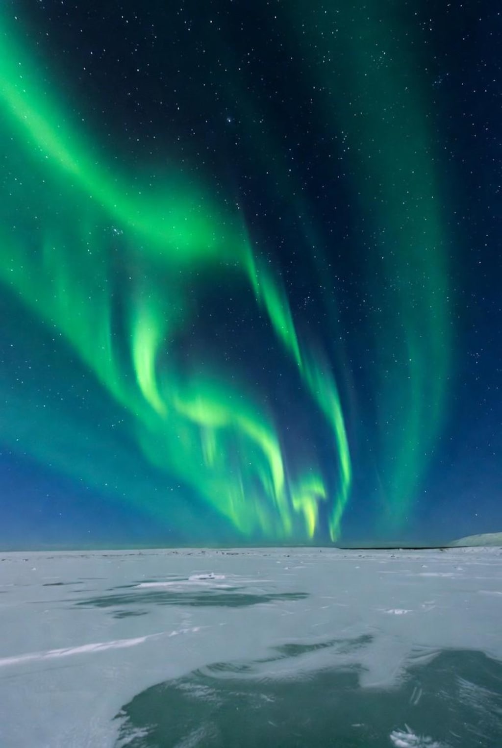 オーロラ（冷）