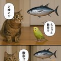 いぬとねこといんこ19 4枚目