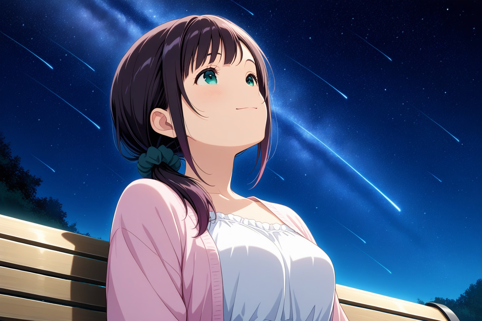 星降る夜 | の人気AIイラスト・グラビア