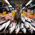 魚市場で働く猫 2枚目