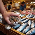 魚市場で働く猫 5枚目
