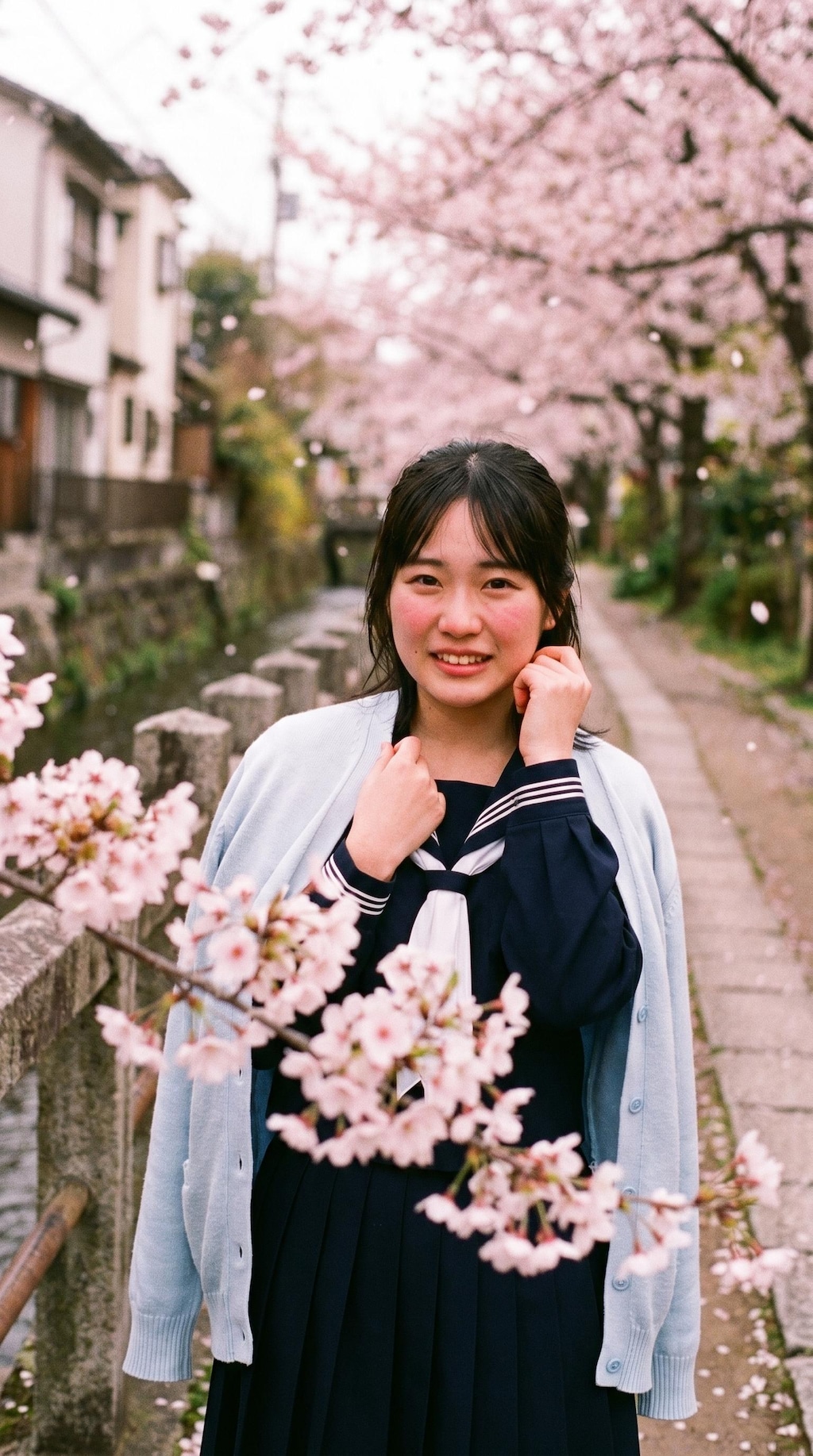 One More Look Beneath the Sakura