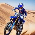 デザートラン 2枚目