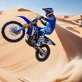 デザートラン 8枚目