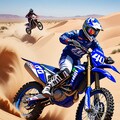 デザートラン 3枚目