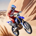 デザートラン 11枚目