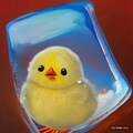 Freezing and hatching 4枚目