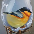 Freezing and hatching 8枚目
