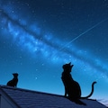 星空 3枚目