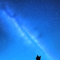 星空 2枚目