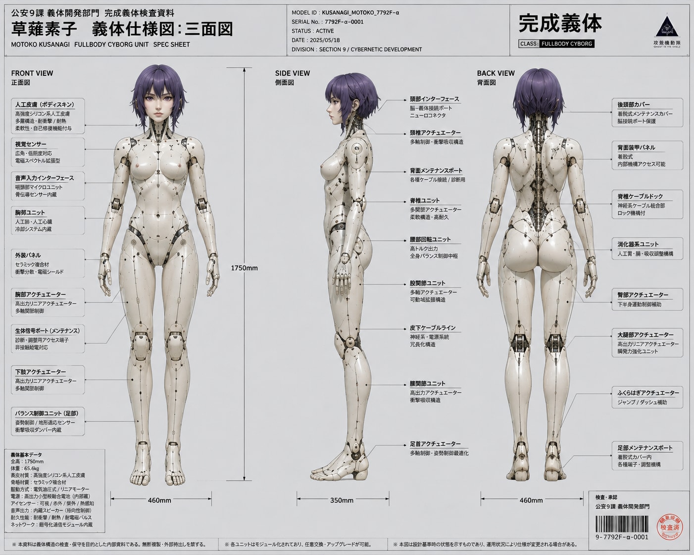 HOW TO BUILD MOTOKO KUSANAGI