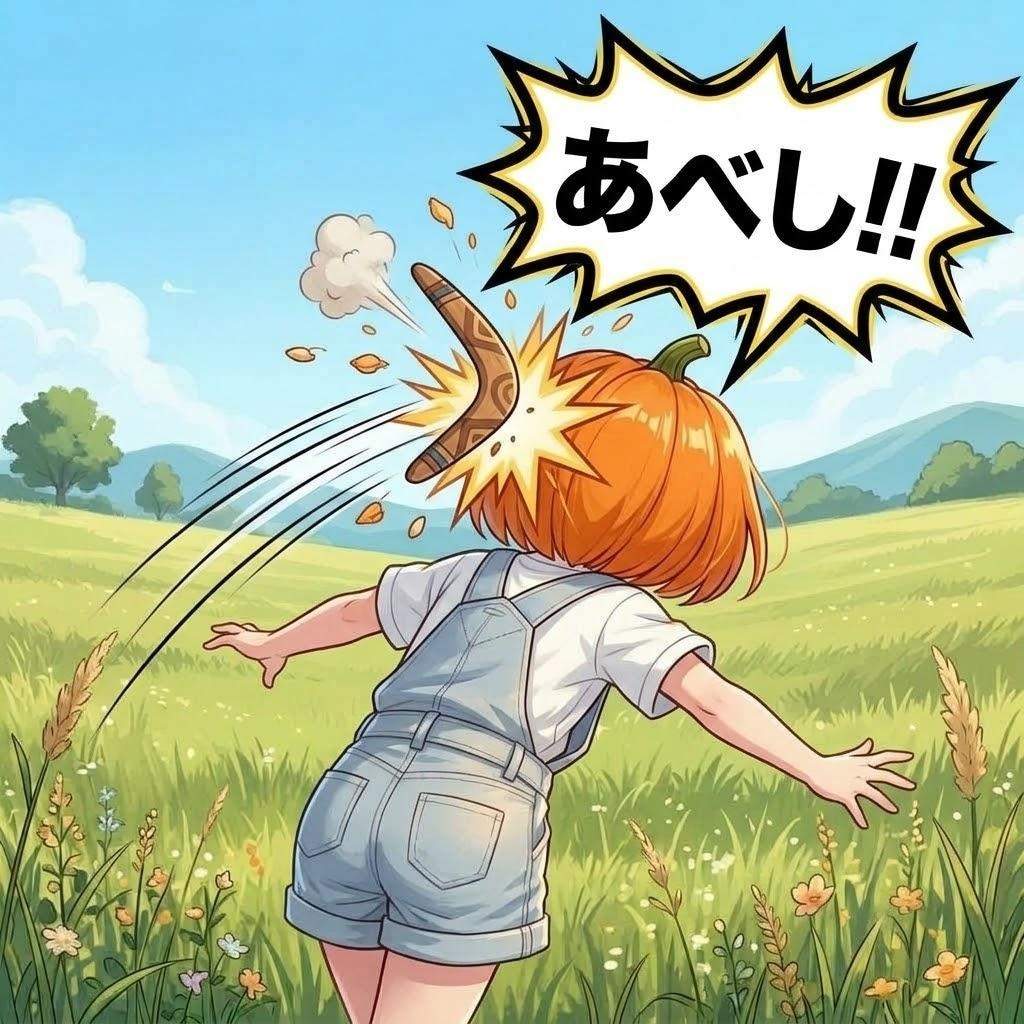 ブーメラン
