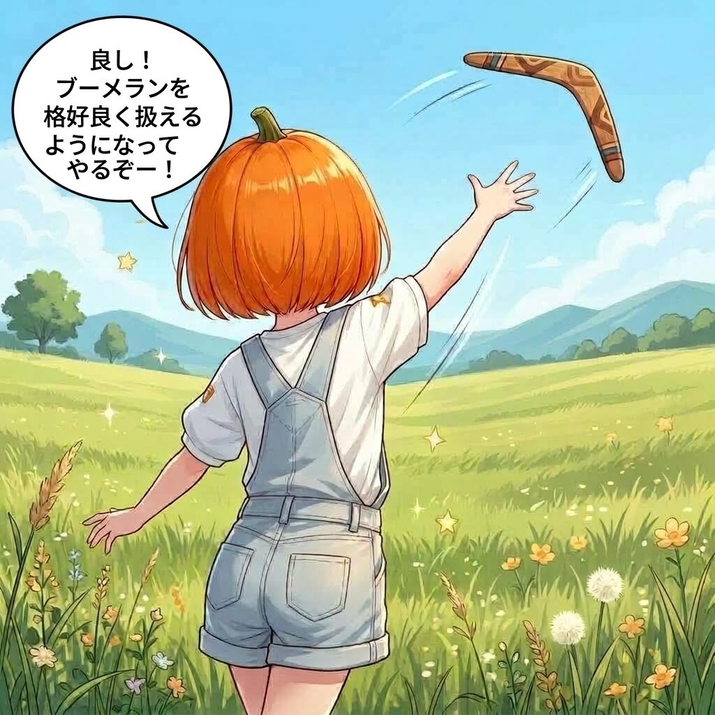 ブーメラン
