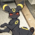 ポケマン 2枚目
