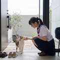 【蔵出し】写真集04「図書館」 7枚目
