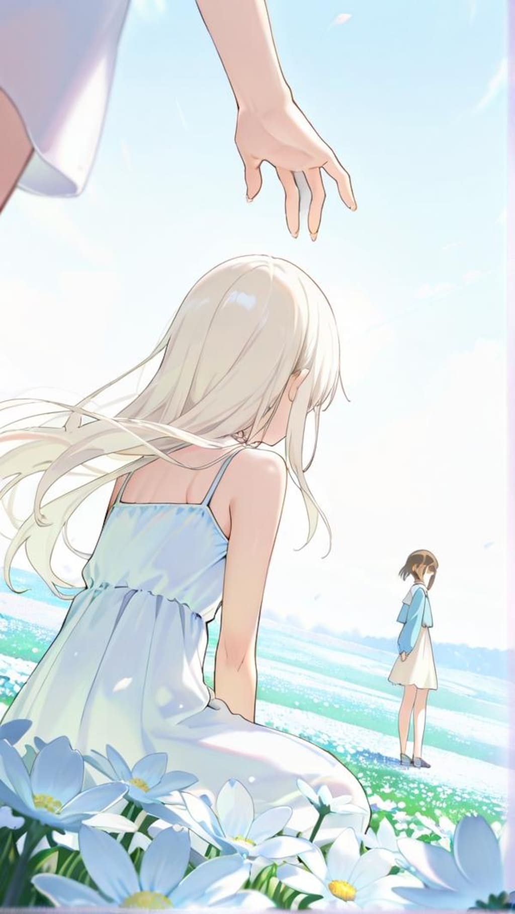 マーガレット畑