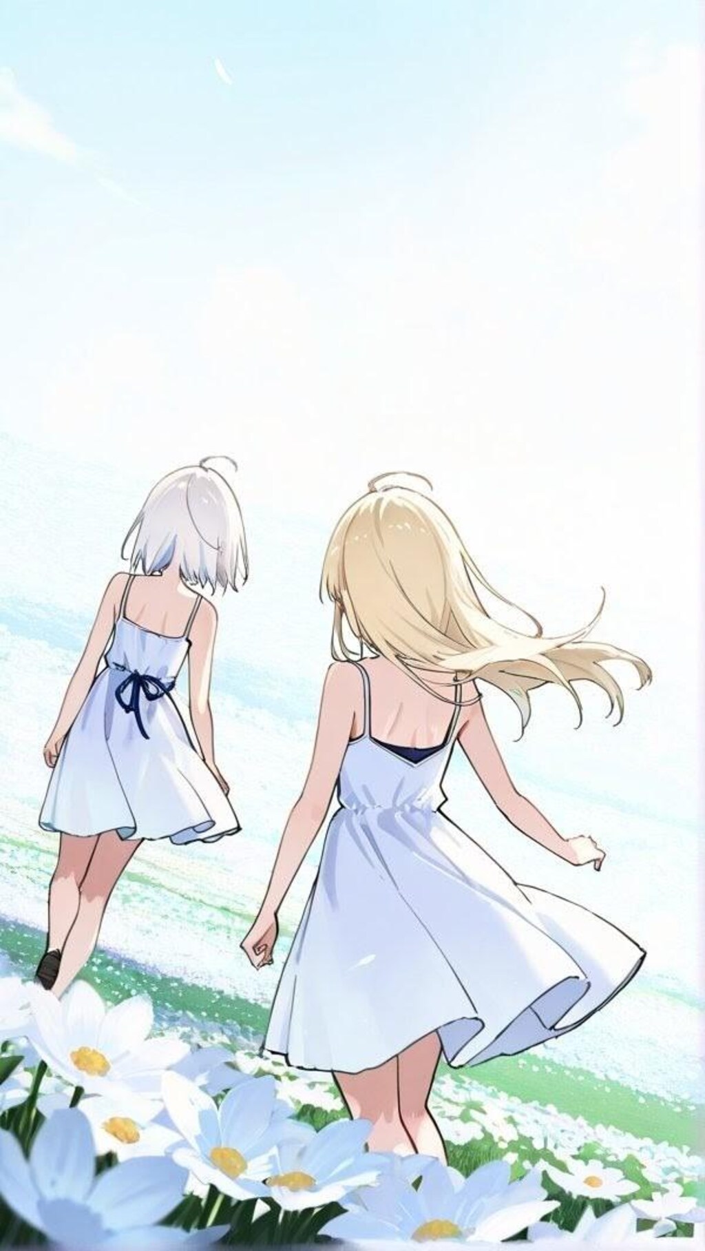 マーガレット畑