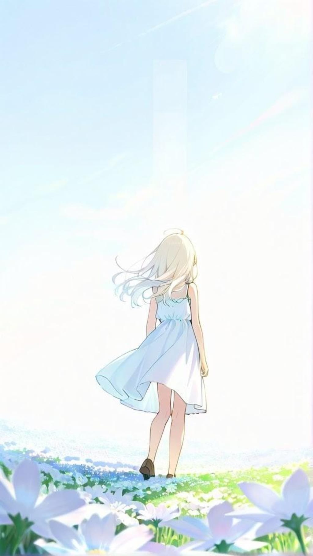 マーガレット畑