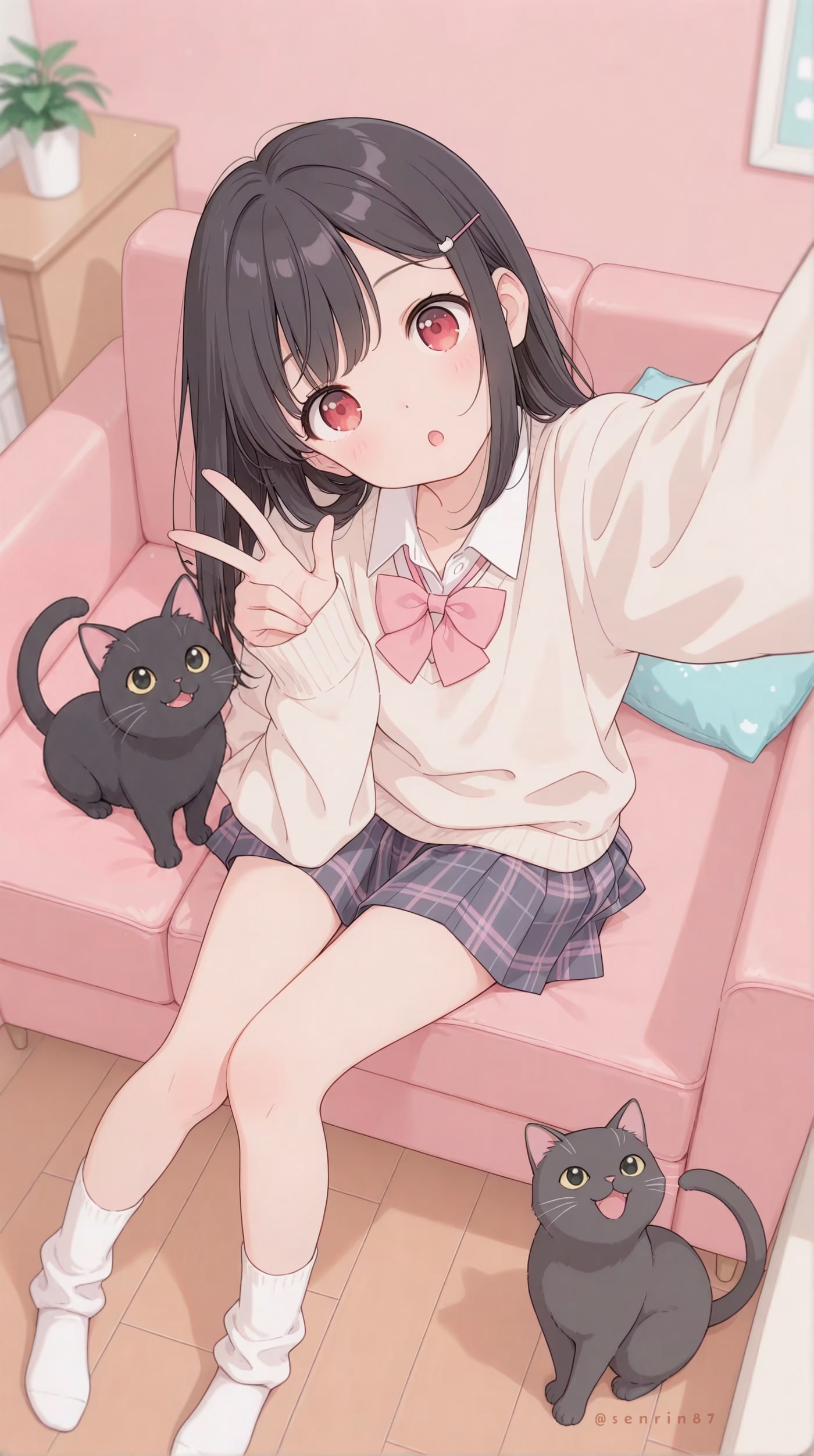 パシャ🐈‍⬛🐈‍⬛