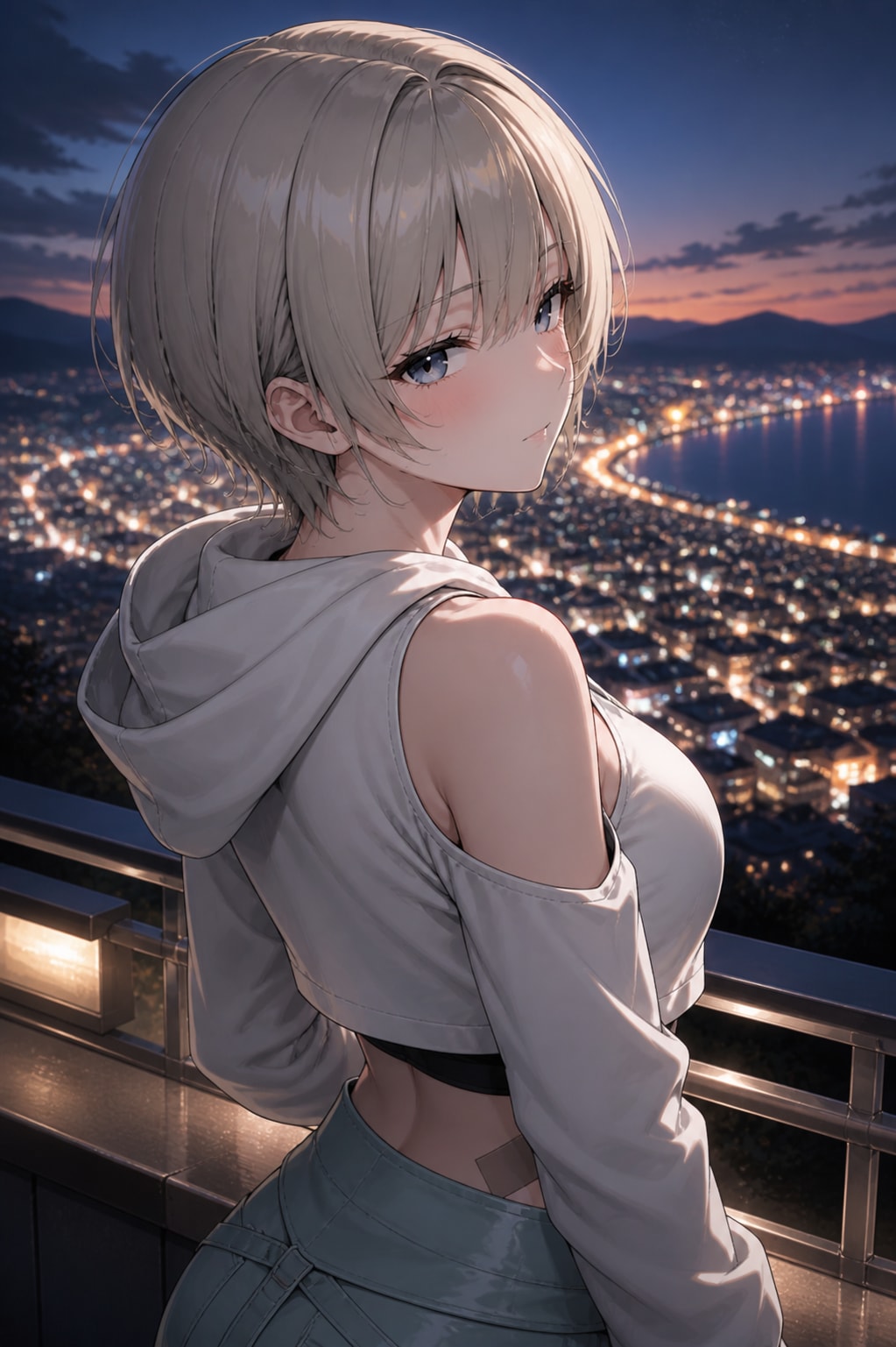 プリカと夜景 | の人気AIイラスト・グラビア