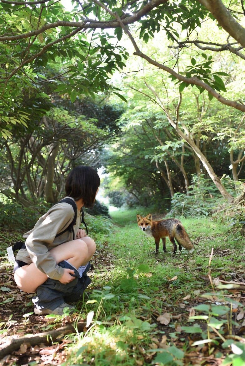 あ、こんにちは