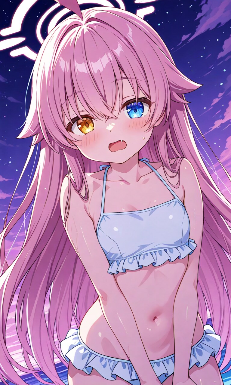 小鳥遊ホシノ