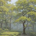 世界樹研究4:森の中の滝 2枚目