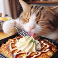 食い倒れ猫 4枚目