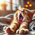 寝起きの猫 2枚目