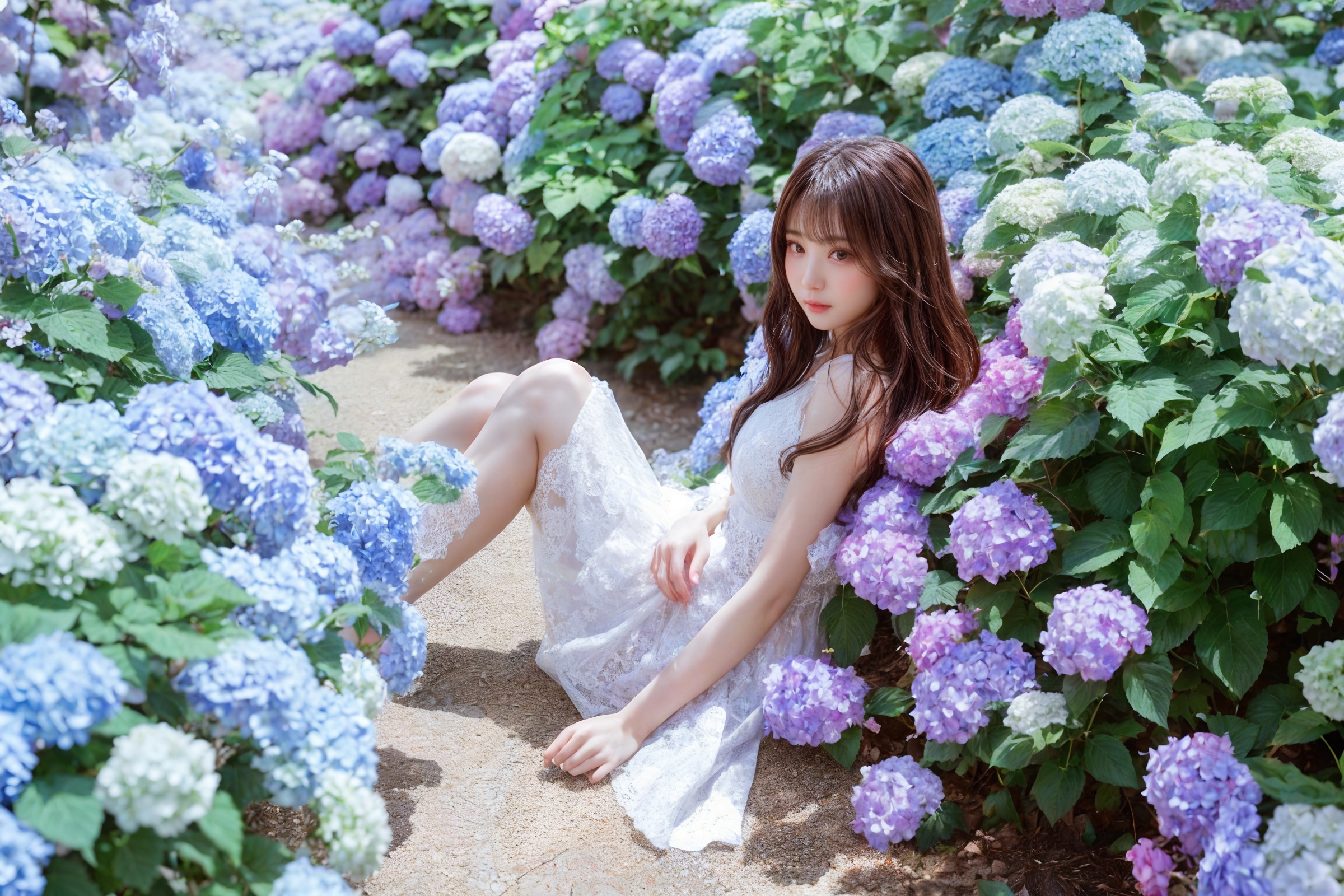 紫陽花に囲まれて