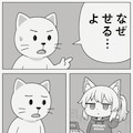 ただのねこのカオスな日常 7枚目