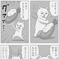 ただのねこのカオスな日常 4枚目