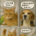 いぬとねこといんこ11 6枚目