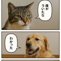 いぬとねこといんこ11 3枚目