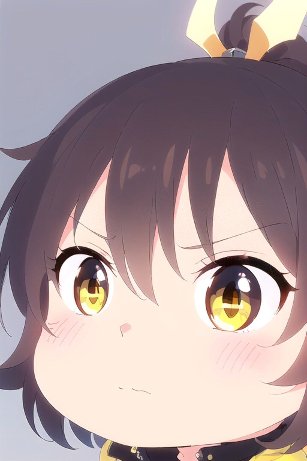 OPALちゃん、バイバイ