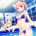 プールで遊ぼう！その２ 2枚目