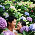 紫陽花デート＃５ 10枚目