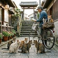 尾道へ野良猫に会いに来た猫 3枚目