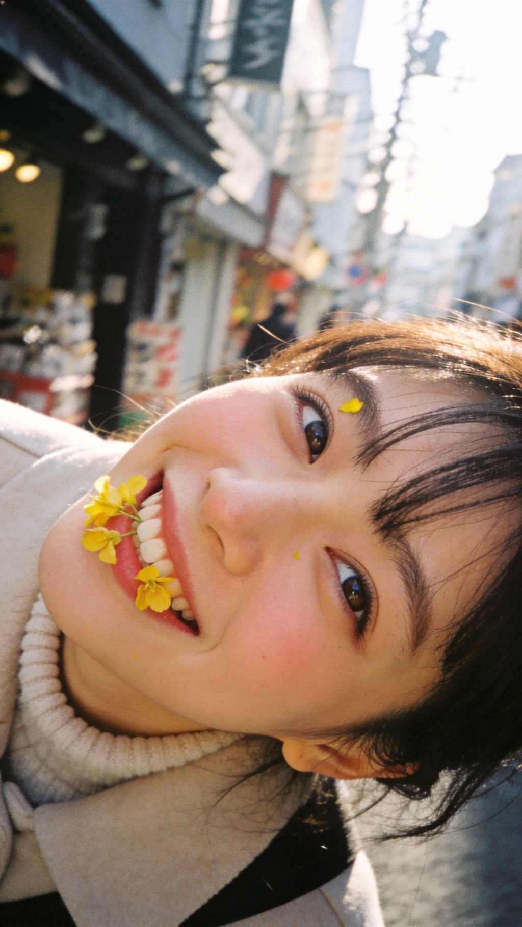 Gold Petals, Ebony Wings