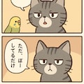 いぬとねこといんこ32 3枚目