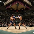 土俵の伝説 10枚目