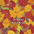 葉っぱのつぶやき 8枚目