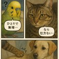 いぬとねこといんこ1[説明で使った画像とか続きとか] 9枚目