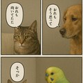 いぬとねこといんこ1[説明で使った画像とか続きとか] 2枚目