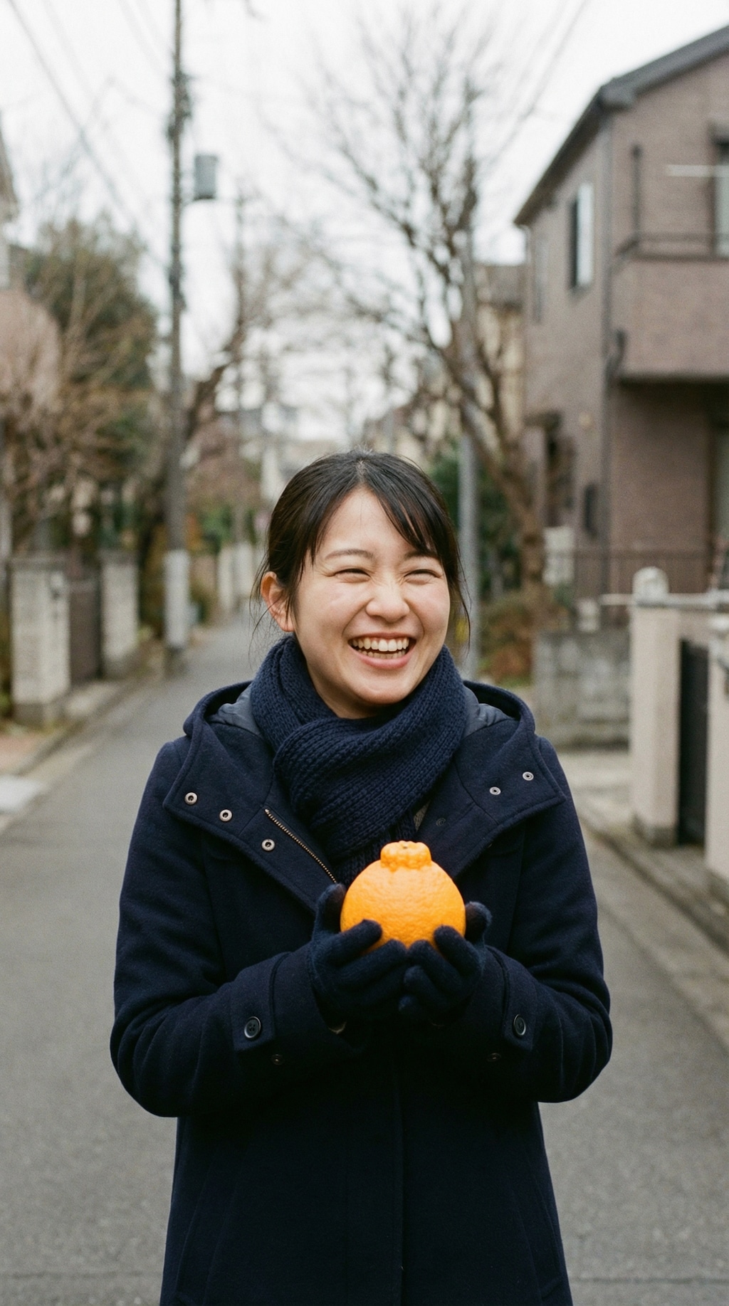 Citrus Sun in the Kitchen