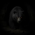 暗闇の熊 2枚目