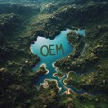 OEM 没案 3枚目