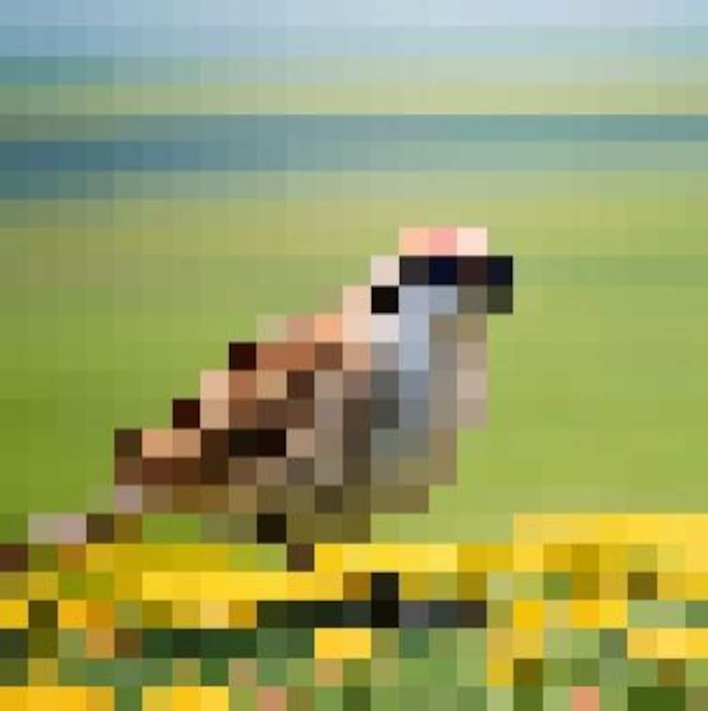 モザイクのｽｽﾞﾒちゃん