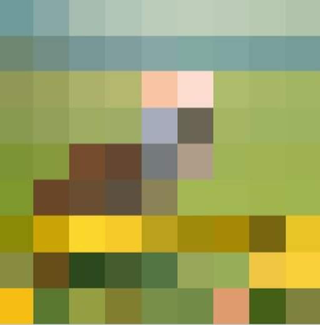 モザイクのｽｽﾞﾒちゃん