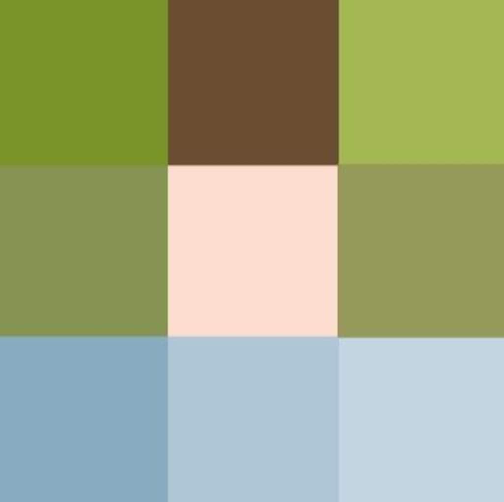 モザイクのｽｽﾞﾒちゃん